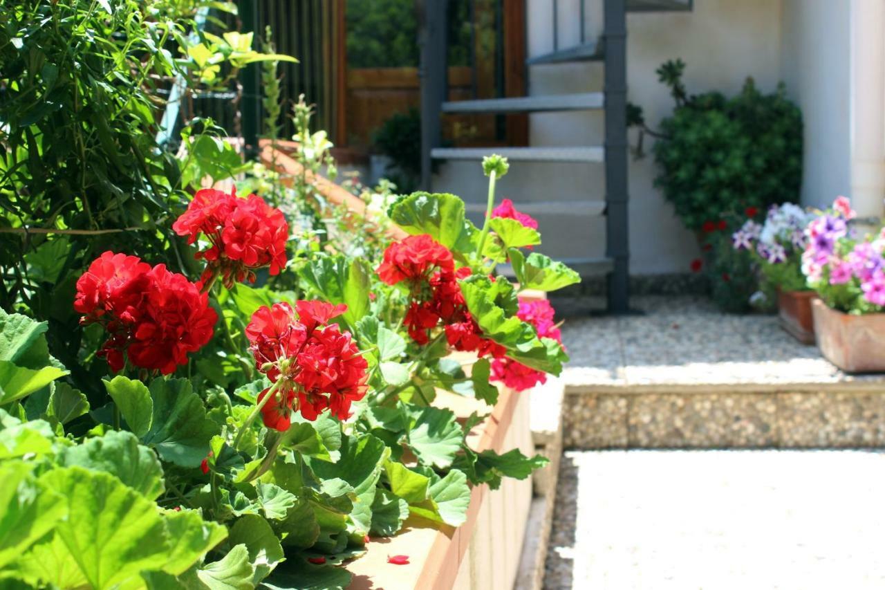 Raggio Di Sole Bed & Breakfast Macari Εξωτερικό φωτογραφία