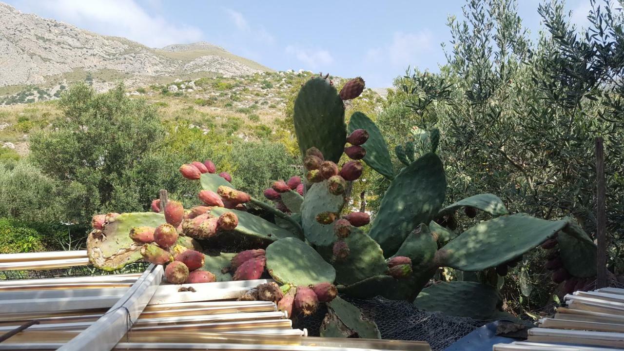 Raggio Di Sole Bed & Breakfast Macari Εξωτερικό φωτογραφία